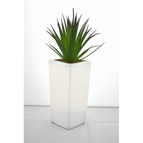 Vase Plante