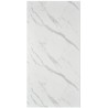Mur de douche en PVC couleur Calacata marble